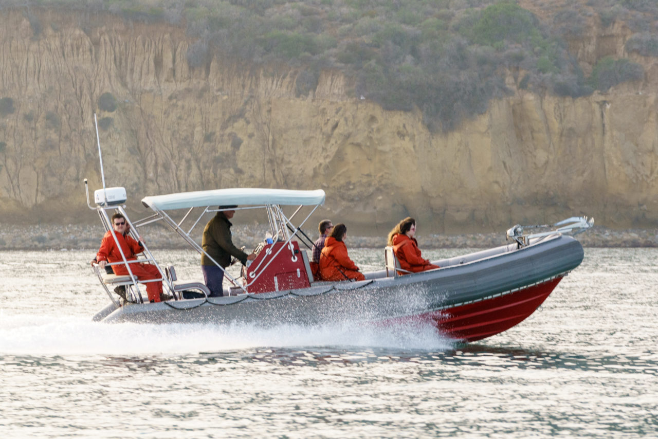 Custom Private Charters - Adventure Whale Watching San Diego