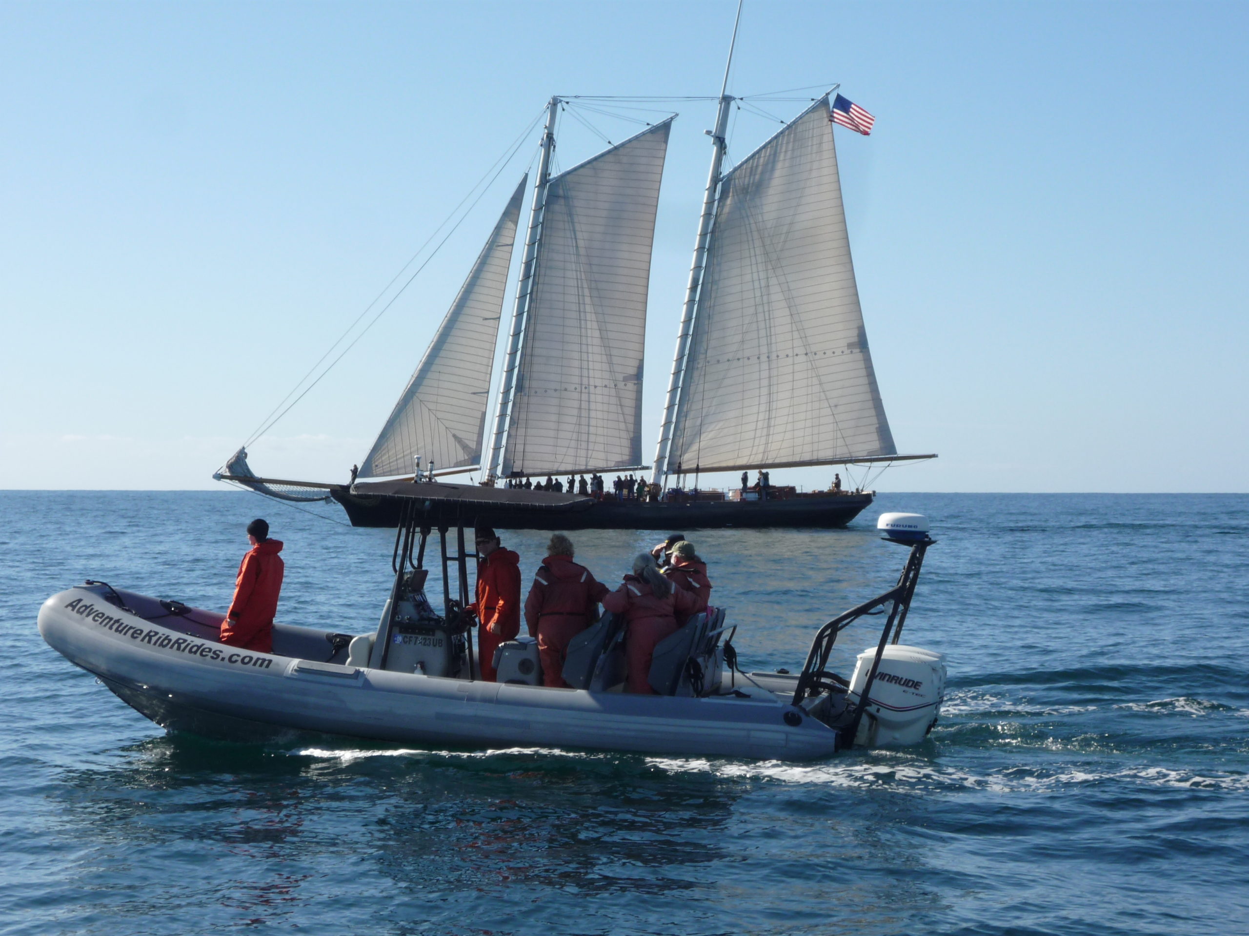 Different Whale Watching Boats