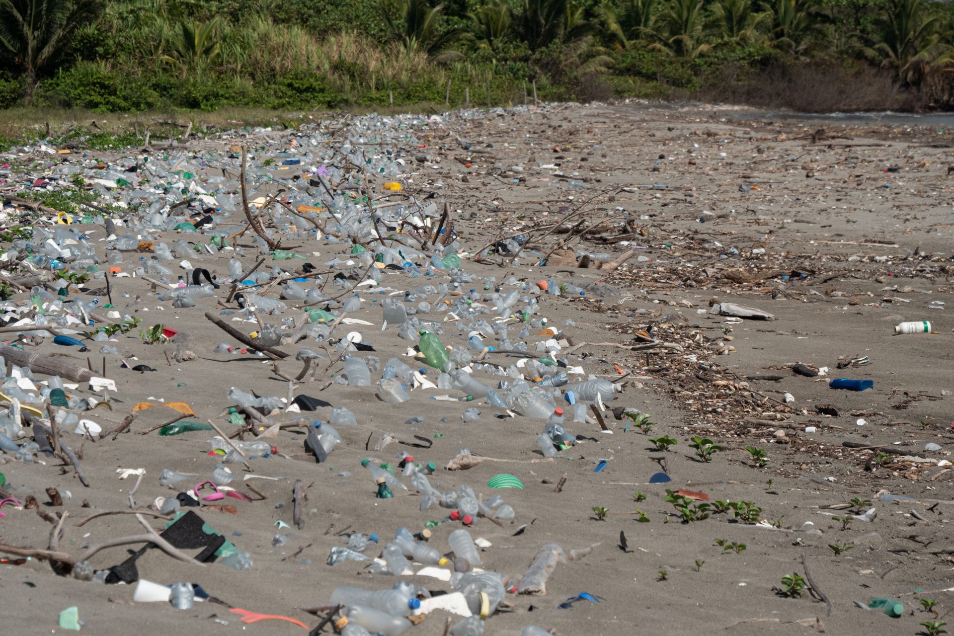 Lots of plastic on a beach