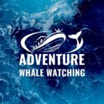 adventurewhalewatching